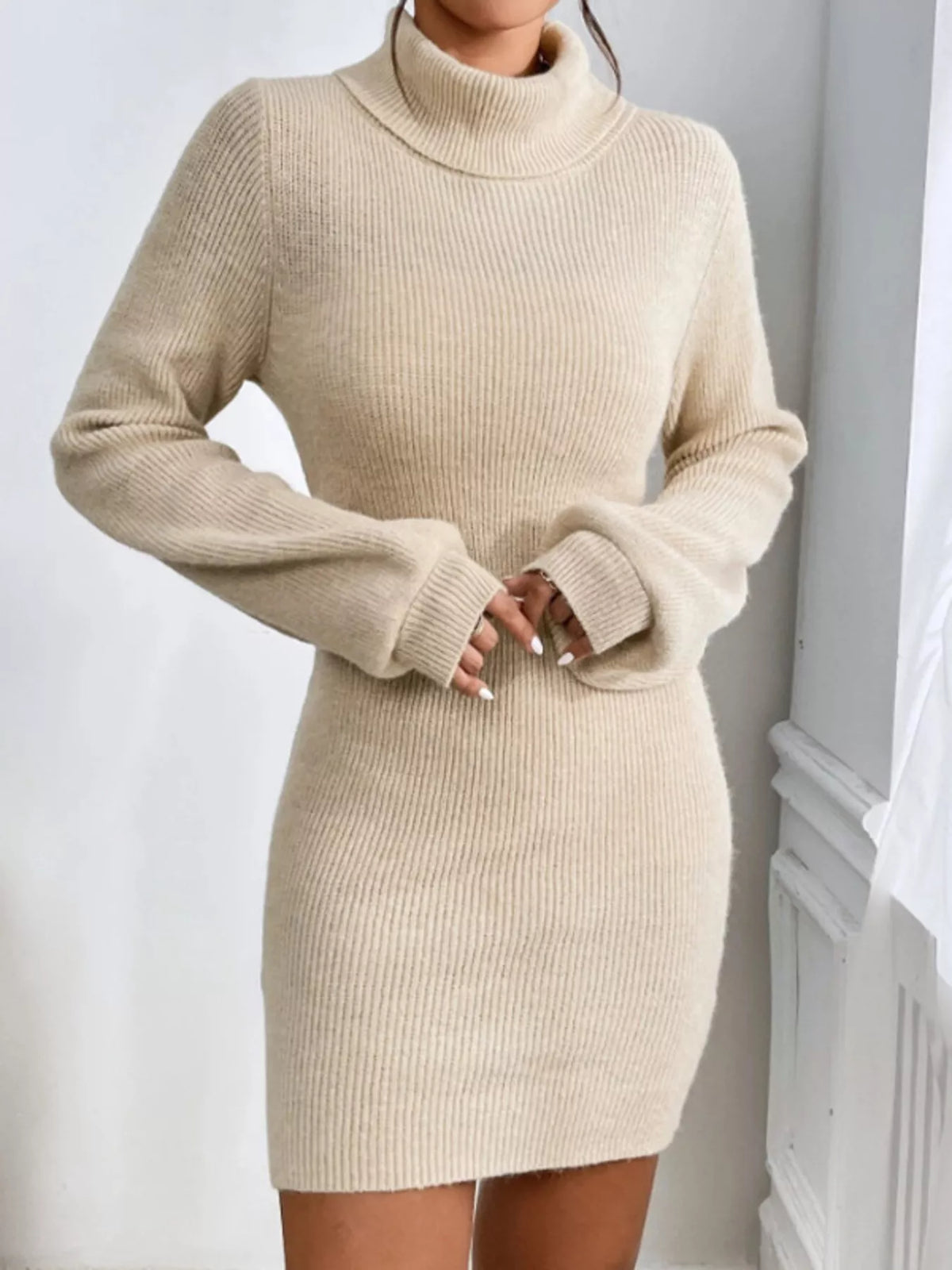 Turtleneck Ribbed Knit Sweater Dress